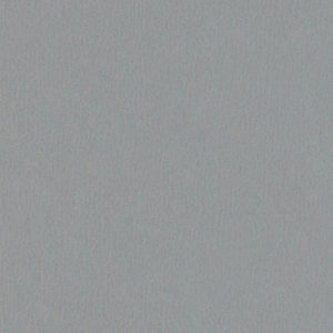 sliver-metallic